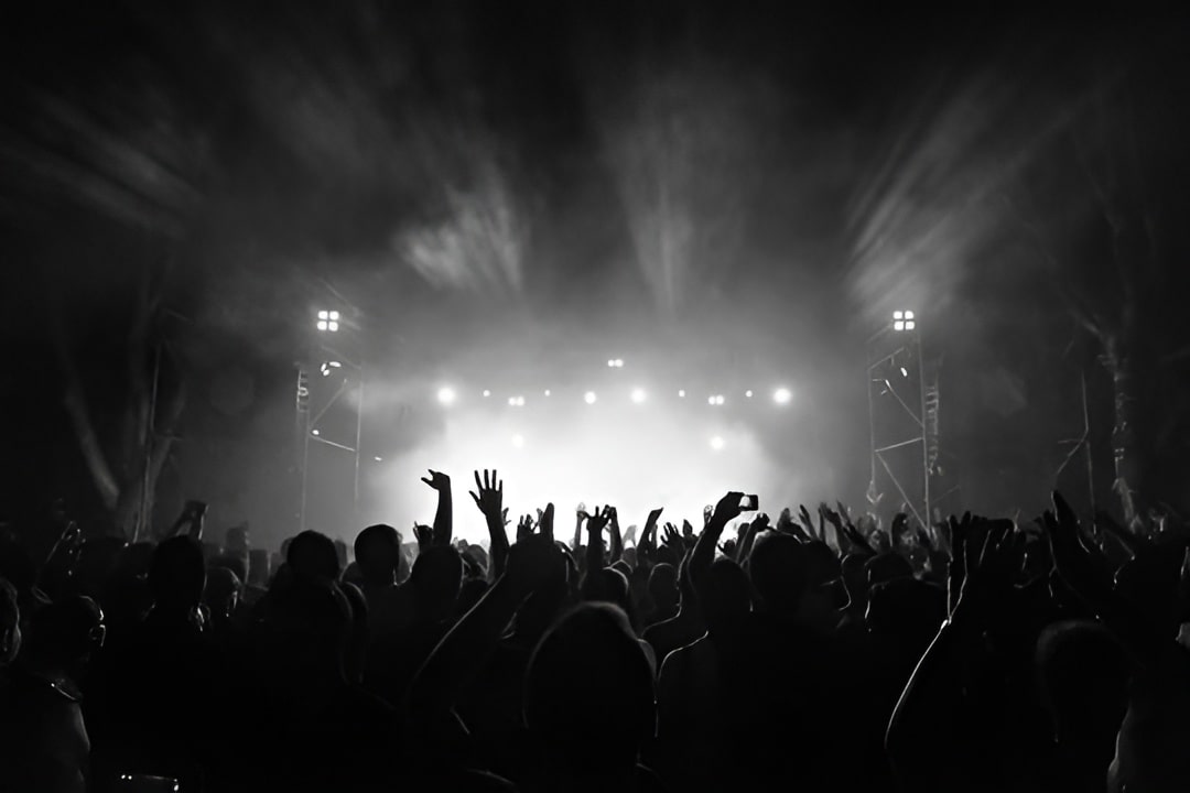 crowd concert lights rap dancing rave hip hop black white